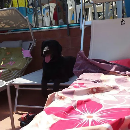 Igea 迪亚诺马里纳