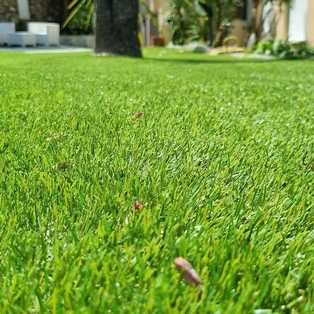 Igea 3* دْيانو مارينا