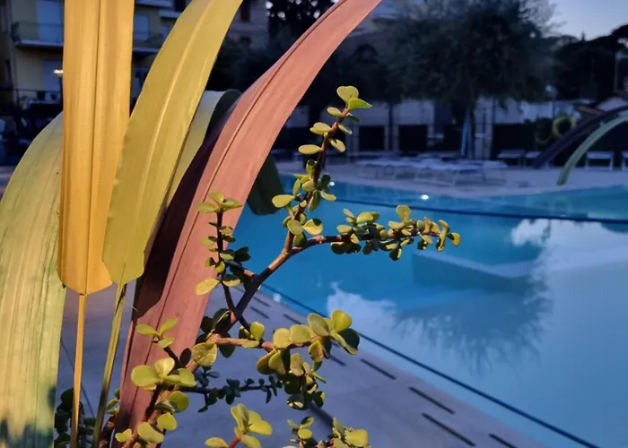 Igea Mhotelsgroup 3* Diano Marina