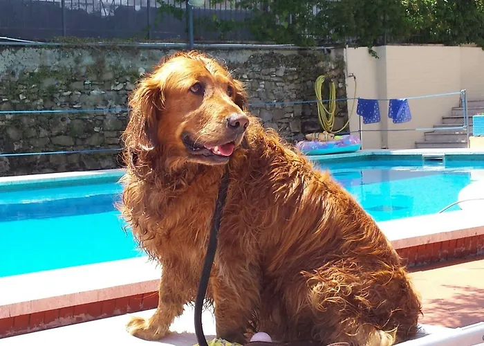 Hotel Igea Mhotelsgroup 3*