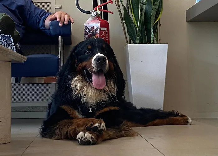 Igea Mhotelsgroup Hotel 3*